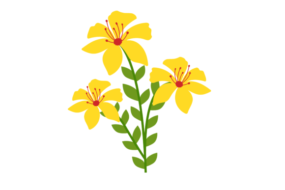 Flower Yellow Floral Botanical