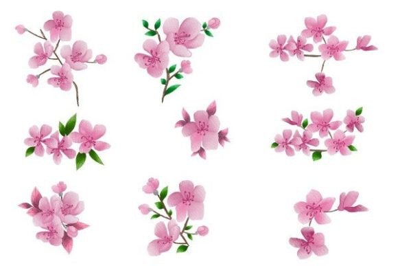 Pink Cherry Watercolor Floral Set